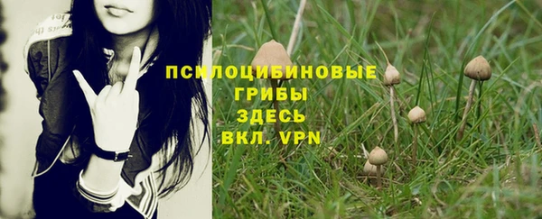 МДМА Мегион