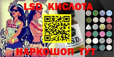 амф Гусев
