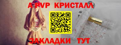 амф Гусев