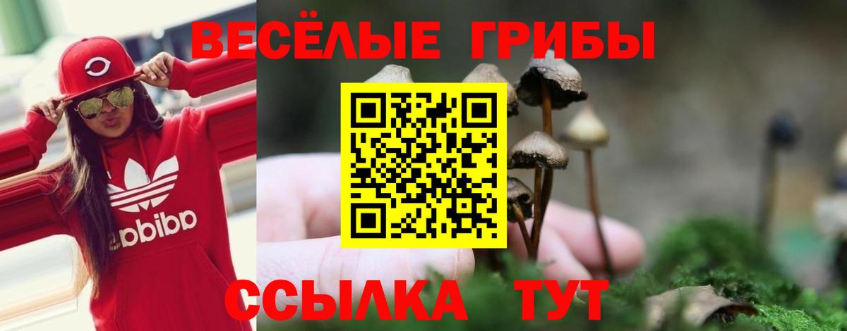 цена наркотик  Галлюциногенные грибы Cubensis  Коммунар  Вход с VPN  Псилоцибиновые грибы Psilocybe 
